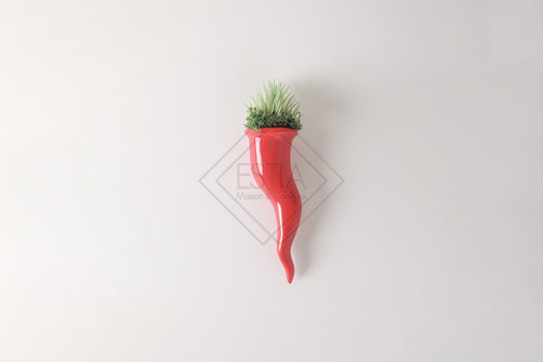 CORNETTO ROSSO LUCIDO IN CERAMICA CON PIANTA GRASSA +SCATOLA (14cm)