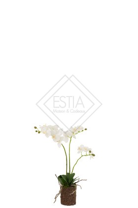 Orchidea Terra Plastica Bianco/Verde 30X15X52