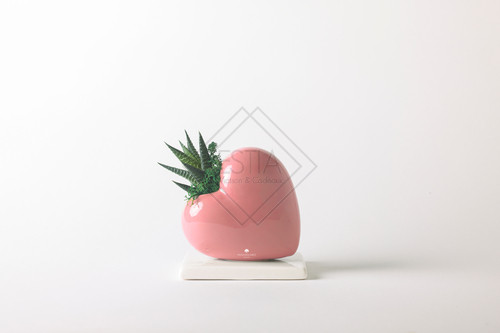 PIANTA GRASSA IN CUORE SU LATO CON BASETTA ROSA FONDENTE IN CERAMICA CON SCATOLA (14x14cm)