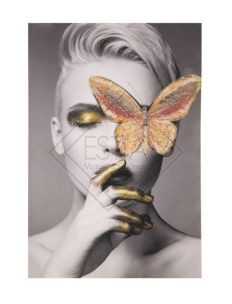 STAMPA SU TELA CON APPLICAZIONI -B- BUTTERLY CM 80X3,8X120