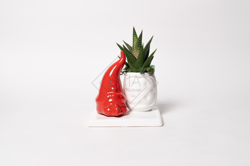 PIANTA GRASSA IN VASETTO CON PULCINELLA ROSSO IN CERAMICA CON SCATOLA