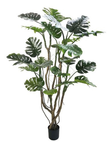 PIANTA ARTIFICIALE MONSTERA CON VASO (Ã˜120x210h)