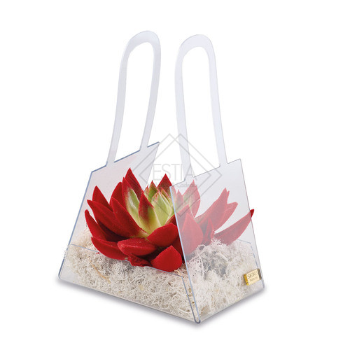 PIANTA GRASSA PICCOLA ROSSA CON BORSA IN PLEX