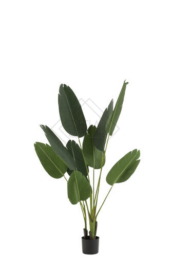PIANTA ARTIFICIALE STRELIZIA IN PE REAL TOUCH (33x33xh.165cm)