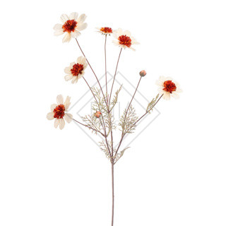 RAMO FIORI COSMOS IN SETA CREMA (h.92cm)