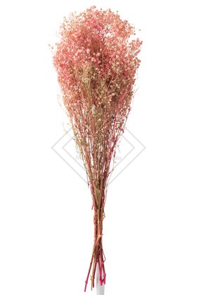 Mazzo Gypsophila Secche Rosa 10x5x84