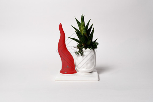 PIANTA GRASSA IN VASETTO CON CORNO ALTO IN CERAMICA SU BASE ROSSA CON SCATOLA