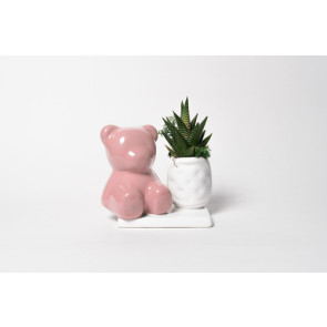PIANTA GRASSA IN VASETTO CON ORSETTO IN CERAMICA SU BASE ROSA FONDENTE CON SCATOLA