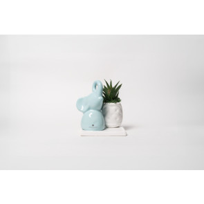 PIANTA GRASSA IN VASETTO CON ELEFANTINO IN CERAMICA SU BASE TIFFANY CON SCATOLA
