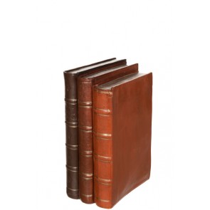 Libri Resina Marrone Large (19.5x12.5x27.5cm)