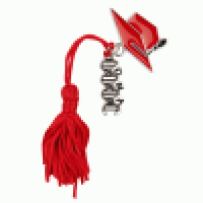 ZAMA CON NAPPINA ROSSA E CON TOCCO ROSSO E SIMBOLO BIOLOGIA IN ACCIAIO  (3,5cm)