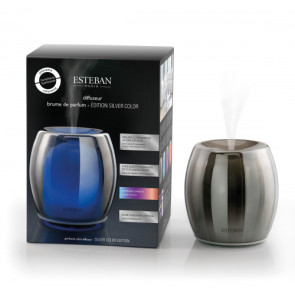 DIFFUSORE DI FRAGRANZA SILVER CON CAVO USB (12x16,5cm)
