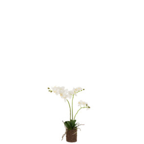 Orchidea Terra Plastica Bianco/Verde 30X15X52