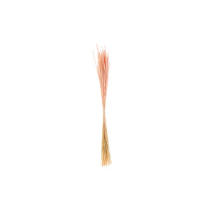 BOUQUET 50G PAMPAS NATURALE ROSA (80cm)