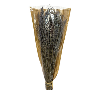 LAVANDA ESSICATA (100gr-55cm)