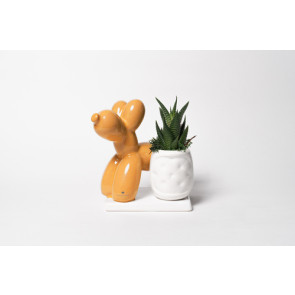 PIANTA GRASSA IN VASETTO CON DOG PALLONCINO IN CERAMICA SU BASE MANGO CON SCATOLA