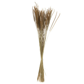 MAZZO PENNISETO SECCO NATURALE (7,5x7,5x88cm)