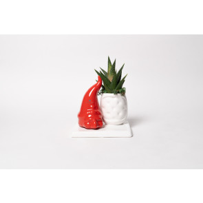 PIANTA GRASSA IN VASETTO CON PULCINELLA ROSSO IN CERAMICA CON SCATOLA