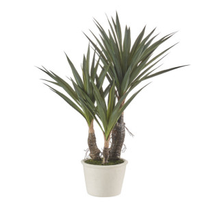 YUCCA (Ø14x55h)