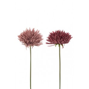 Crisantemo Plastica Rosa Chiaro/Scuro Assortimento Di 2 (h.58cm)