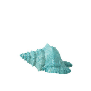 CONCHIGLIA IN RESINA AZZURRO (25x17xh.13cm)