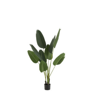 PIANTA ARTIFICIALE STRELIZIA IN PE REAL TOUCH (33x33xh.165cm)