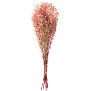 Mazzo Gypsophila Secche Rosa 10x5x84