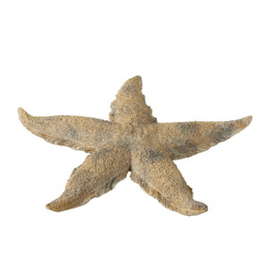 STELLA MARINA IN PASTA DI CERAMICA MARRONE/ORO LARGE (30x30x4cm)